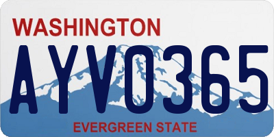 WA license plate AYV0365