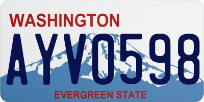 WA license plate AYV0598