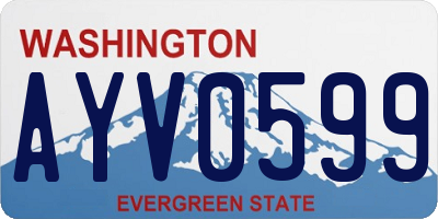WA license plate AYV0599