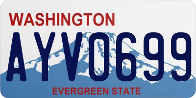 WA license plate AYV0699