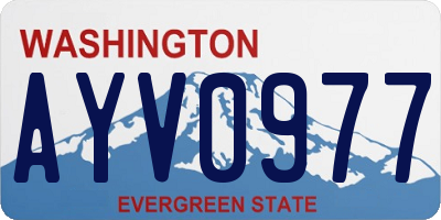 WA license plate AYV0977