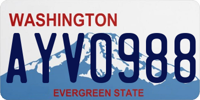 WA license plate AYV0988