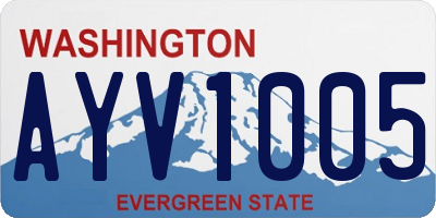WA license plate AYV1005