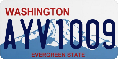 WA license plate AYV1009