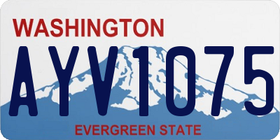 WA license plate AYV1075