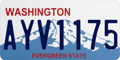 WA license plate AYV1175
