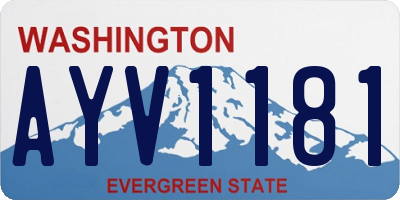 WA license plate AYV1181