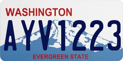 WA license plate AYV1223
