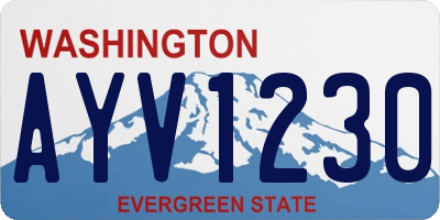 WA license plate AYV1230