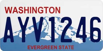 WA license plate AYV1246