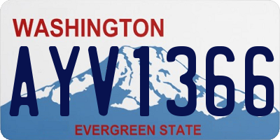 WA license plate AYV1366