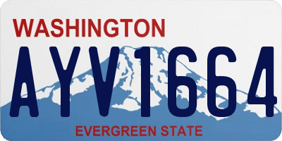 WA license plate AYV1664