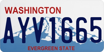 WA license plate AYV1665