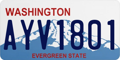 WA license plate AYV1801