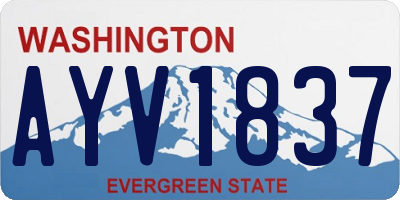 WA license plate AYV1837