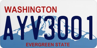 WA license plate AYV3001