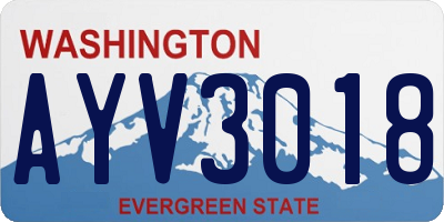 WA license plate AYV3018