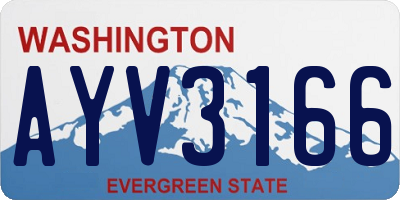 WA license plate AYV3166