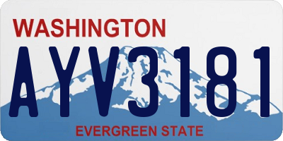 WA license plate AYV3181