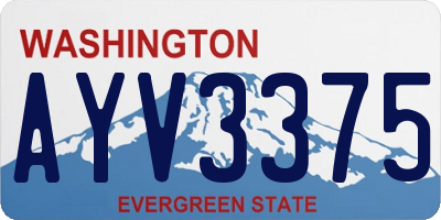 WA license plate AYV3375
