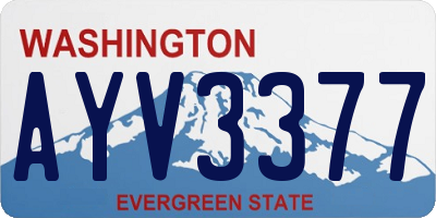 WA license plate AYV3377