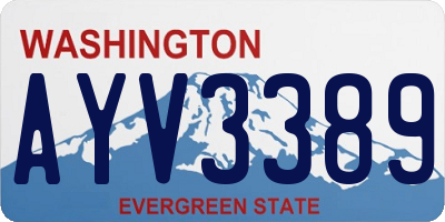 WA license plate AYV3389