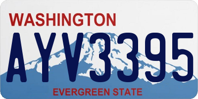 WA license plate AYV3395