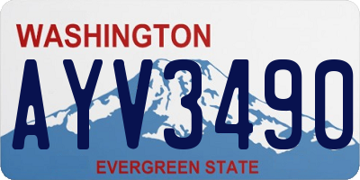 WA license plate AYV3490