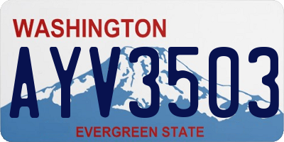 WA license plate AYV3503