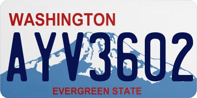 WA license plate AYV3602