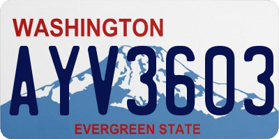 WA license plate AYV3603