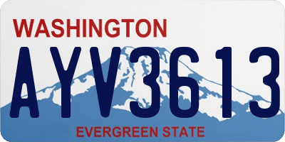 WA license plate AYV3613