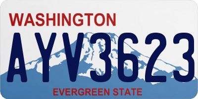WA license plate AYV3623