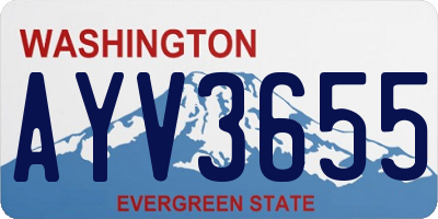 WA license plate AYV3655