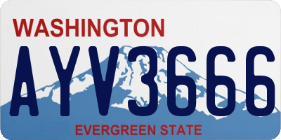WA license plate AYV3666
