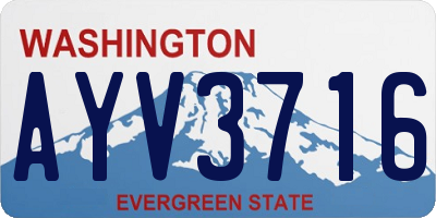 WA license plate AYV3716