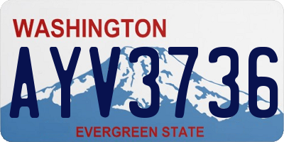 WA license plate AYV3736