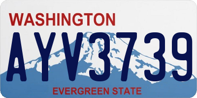 WA license plate AYV3739