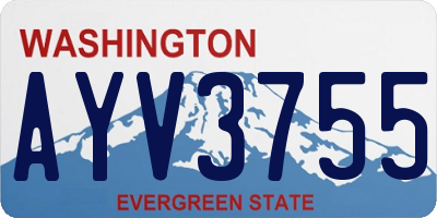 WA license plate AYV3755