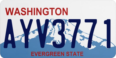 WA license plate AYV3771