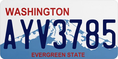 WA license plate AYV3785