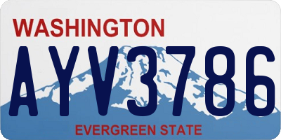 WA license plate AYV3786