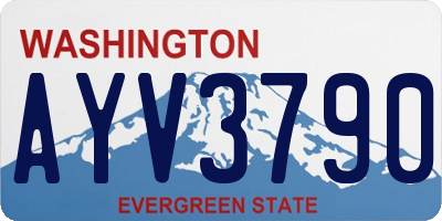WA license plate AYV3790