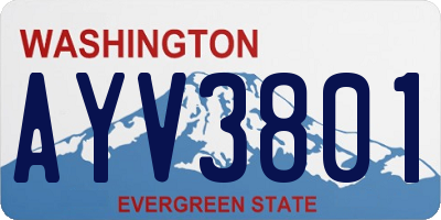 WA license plate AYV3801