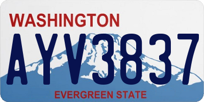 WA license plate AYV3837