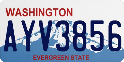WA license plate AYV3856