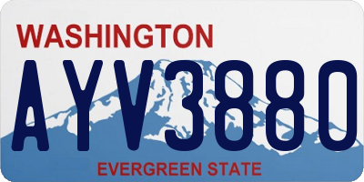 WA license plate AYV3880