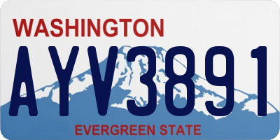 WA license plate AYV3891
