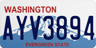 WA license plate AYV3894