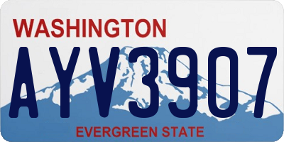 WA license plate AYV3907